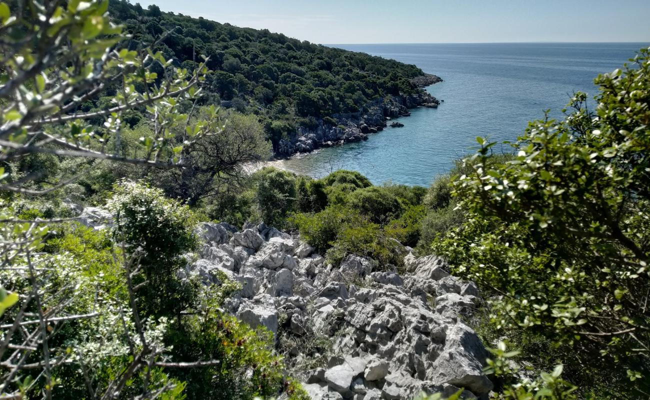 Olive Gardens beach'in fotoğrafı bej çakıl yüzey ile