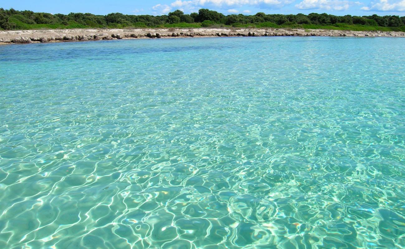 Baia Slatina beach'in fotoğrafı taşlar yüzey ile