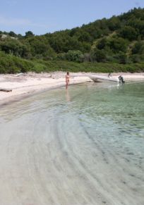 Suha Punta