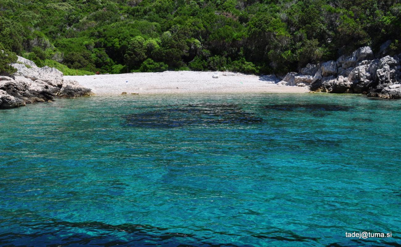 Sovlje Bay'in fotoğrafı hafif çakıl yüzey ile