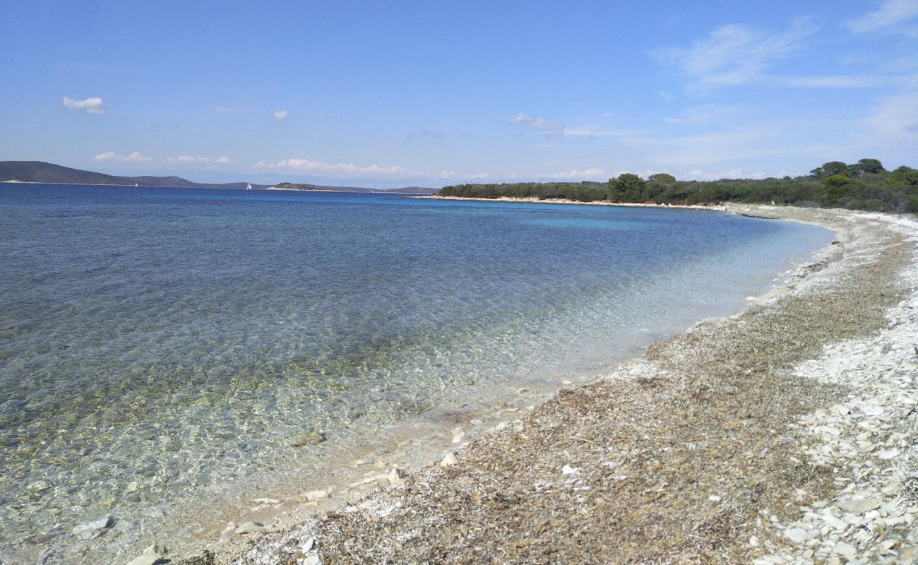 Natural Bridge beach'in fotoğrafı hafif çakıl yüzey ile