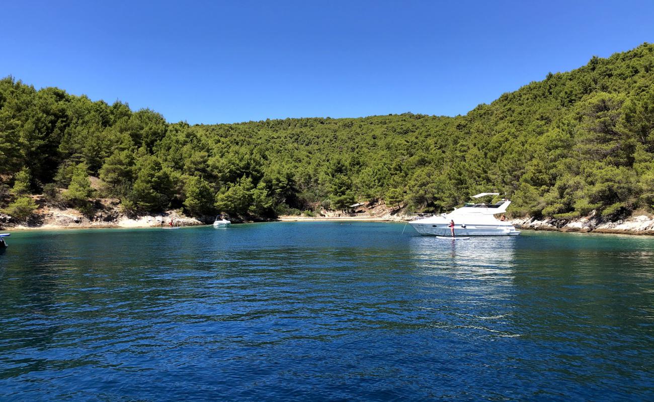 Zlarin beach'in fotoğrafı hafif çakıl yüzey ile