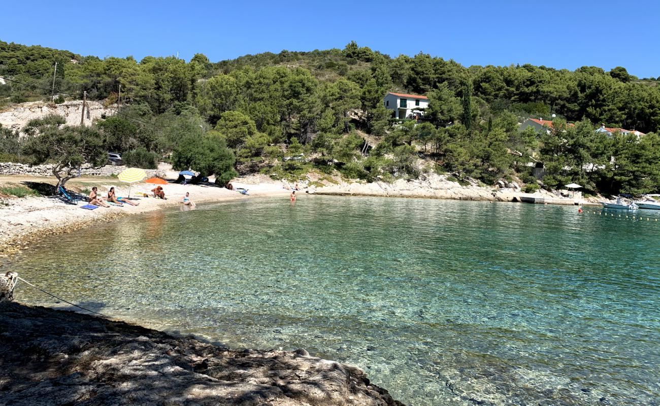 Gornja Krusica beach'in fotoğrafı bej çakıl yüzey ile