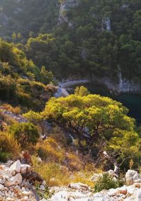 Šolta Adası
