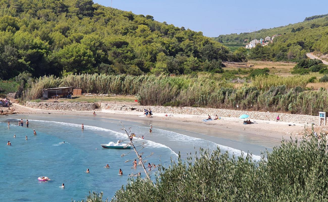 Milna beach'in fotoğrafı parlak kum yüzey ile