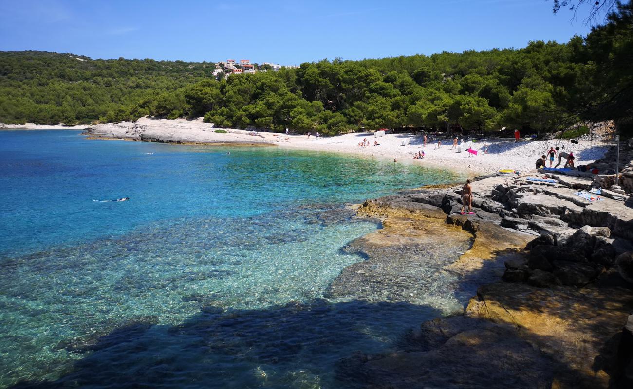 Srebrna beach'in fotoğrafı hafif çakıl yüzey ile