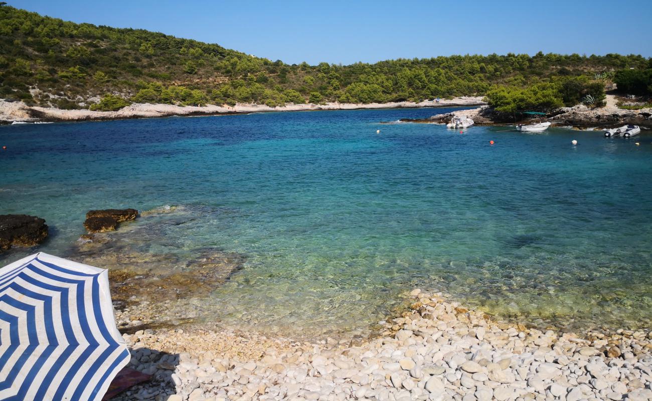 Ruda beach'in fotoğrafı beyaz çakıl taş yüzey ile