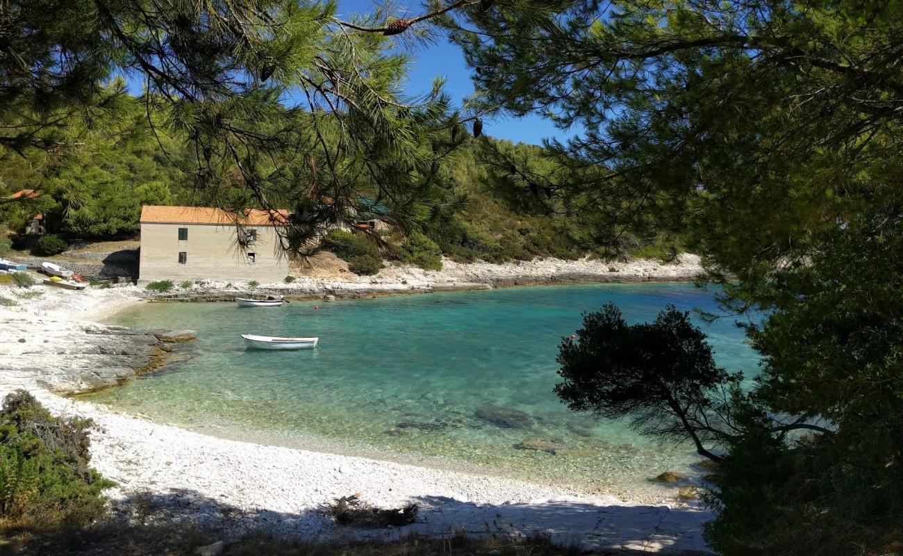 Vela Travna'in fotoğrafı beyaz çakıl taş yüzey ile