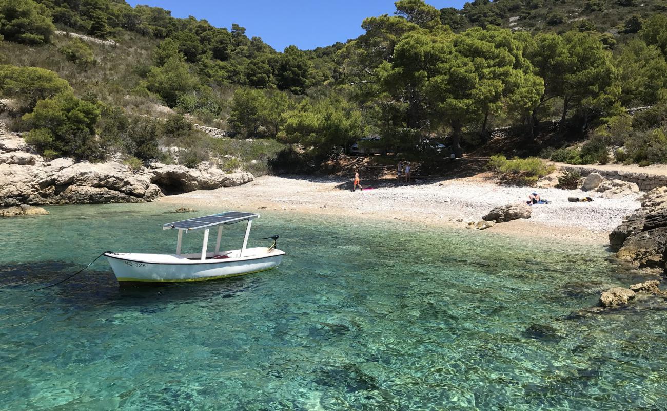 Barjoska beach'in fotoğrafı hafif çakıl yüzey ile