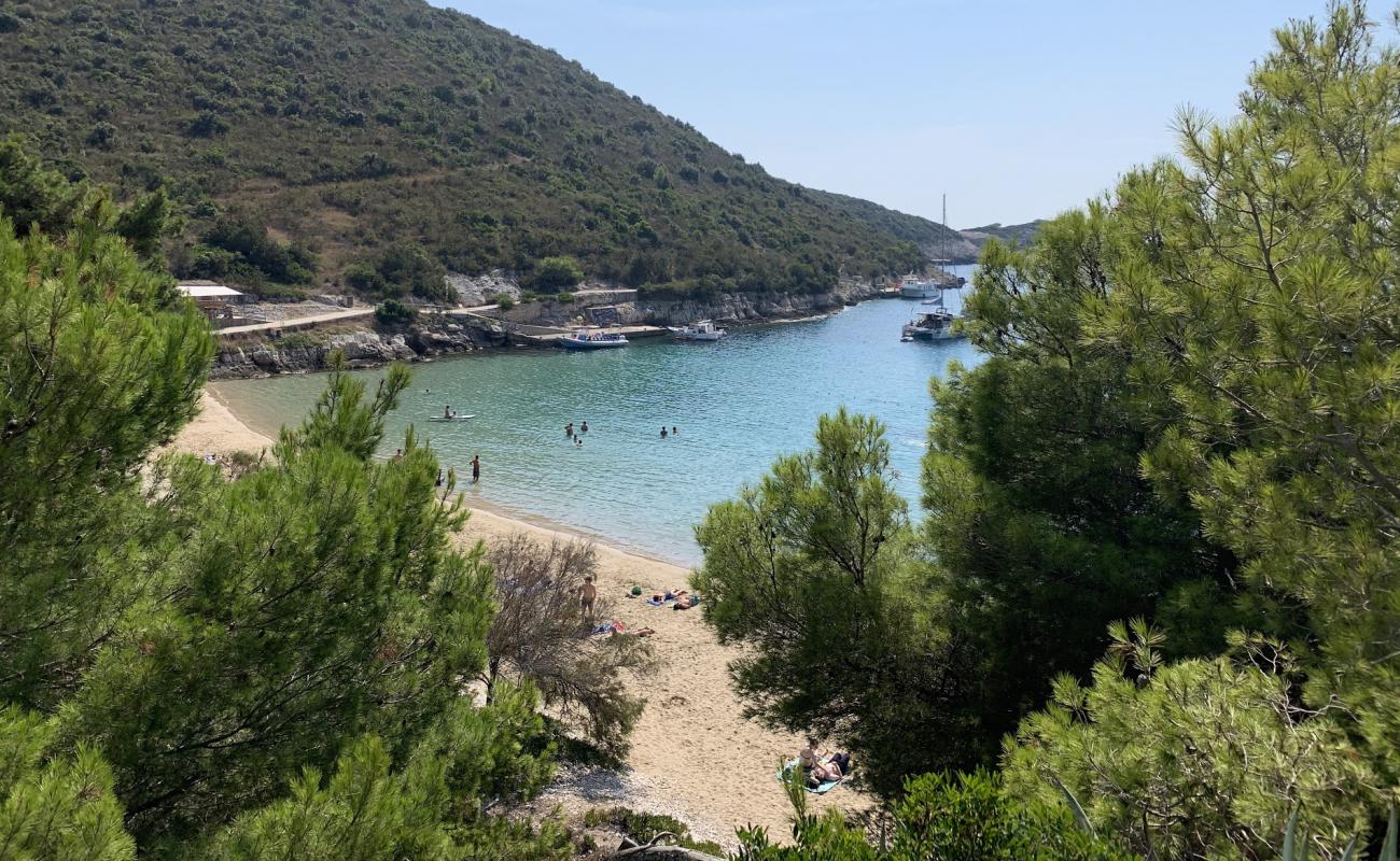 Porat beach II'in fotoğrafı kahverengi kum yüzey ile