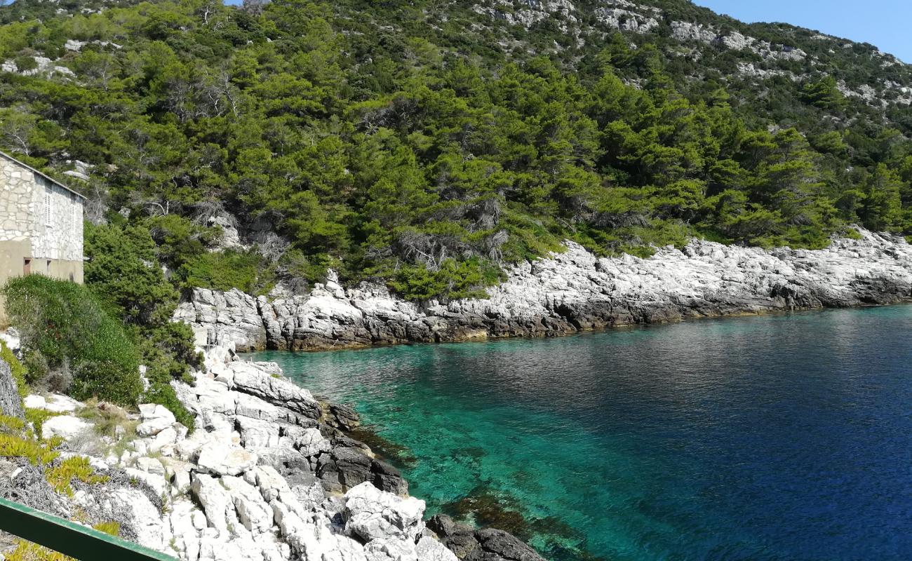 Barje beach'in fotoğrafı taşlar yüzey ile