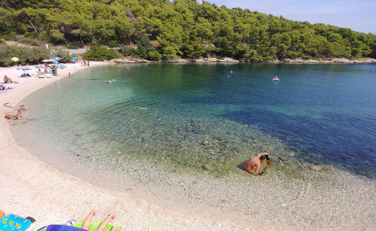 beach Zastup'in fotoğrafı küçük bej çakıl yüzey ile