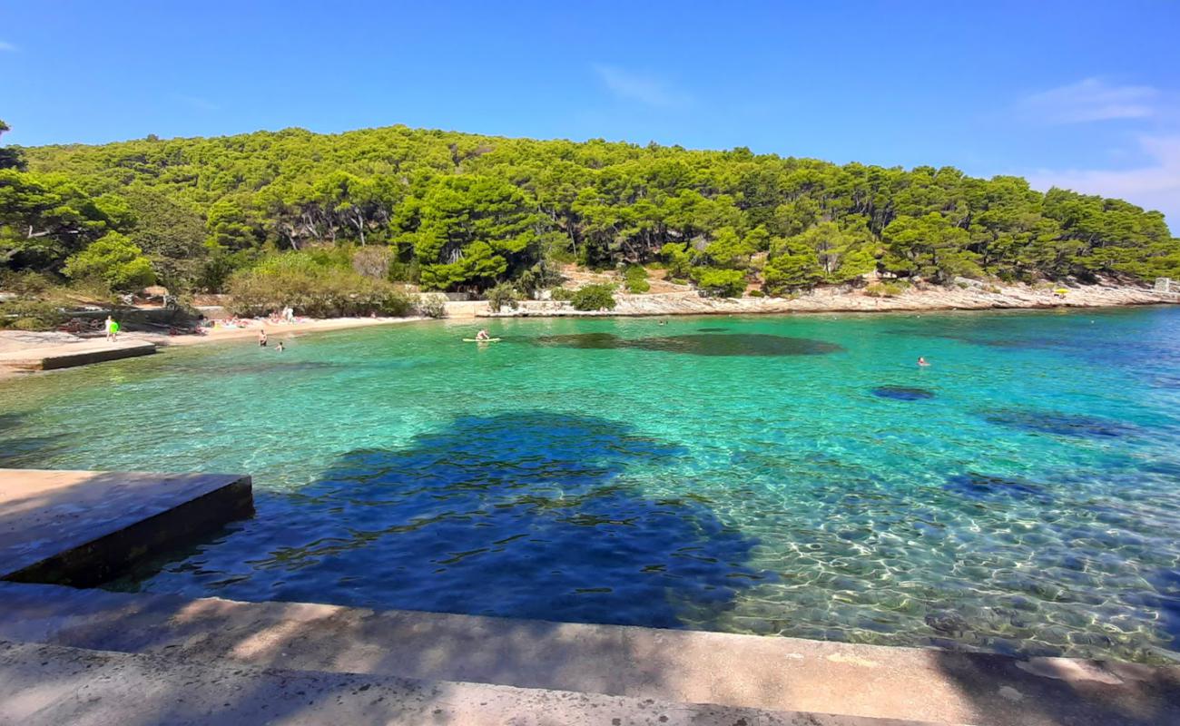 Prja beach'in fotoğrafı küçük bej çakıl yüzey ile