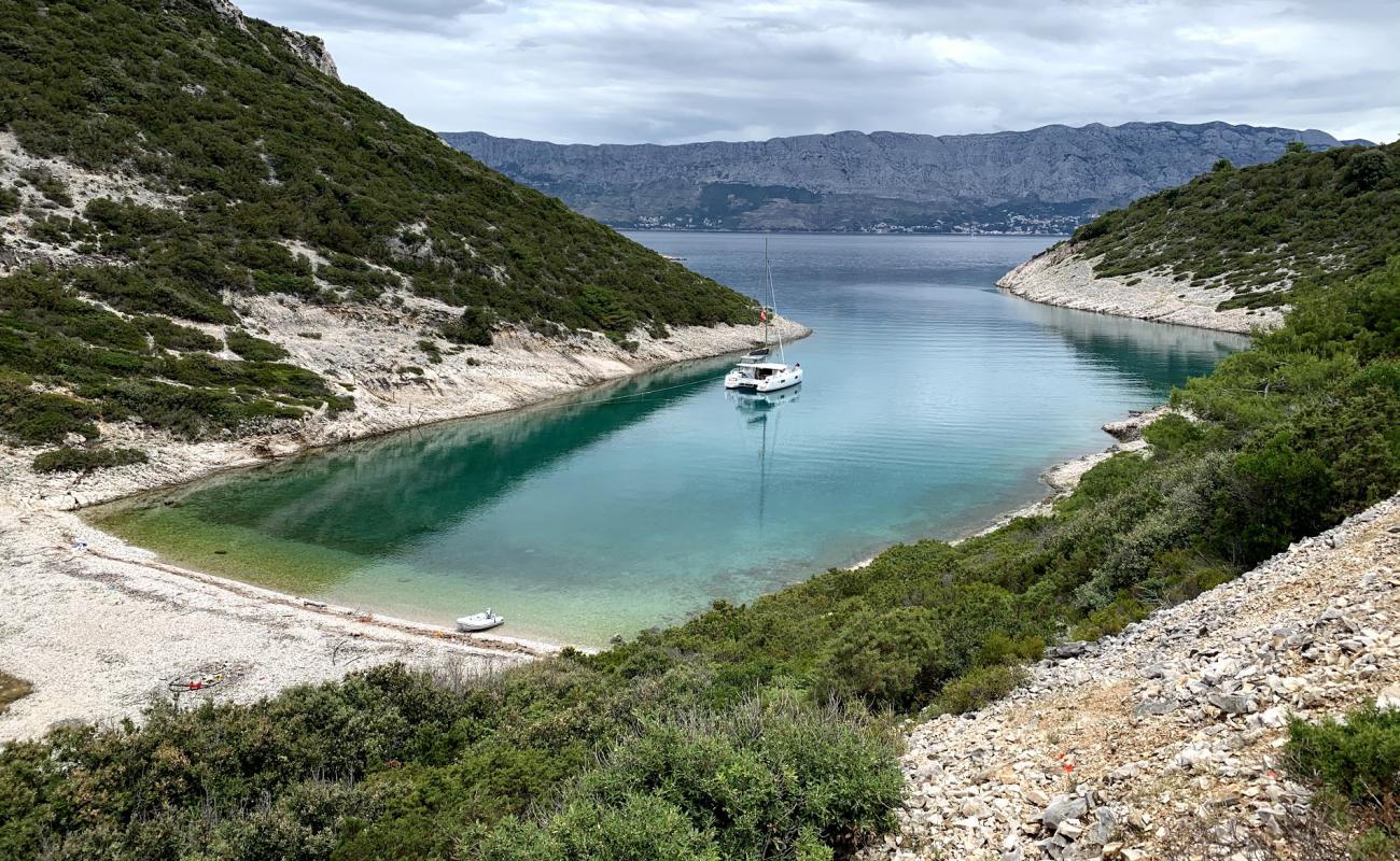 Pucisca beach'in fotoğrafı bej çakıl yüzey ile