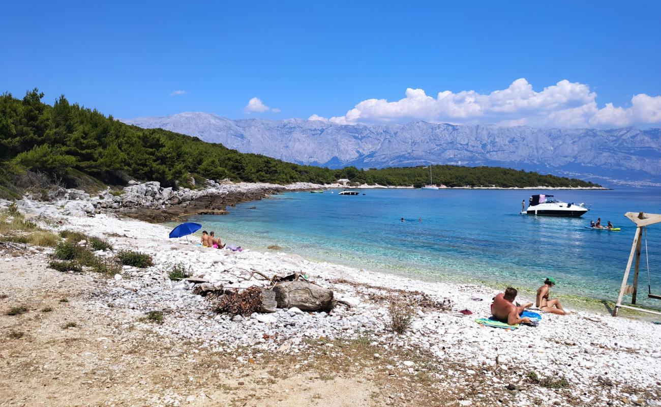 Puntica beach'in fotoğrafı beyaz çakıl taş yüzey ile