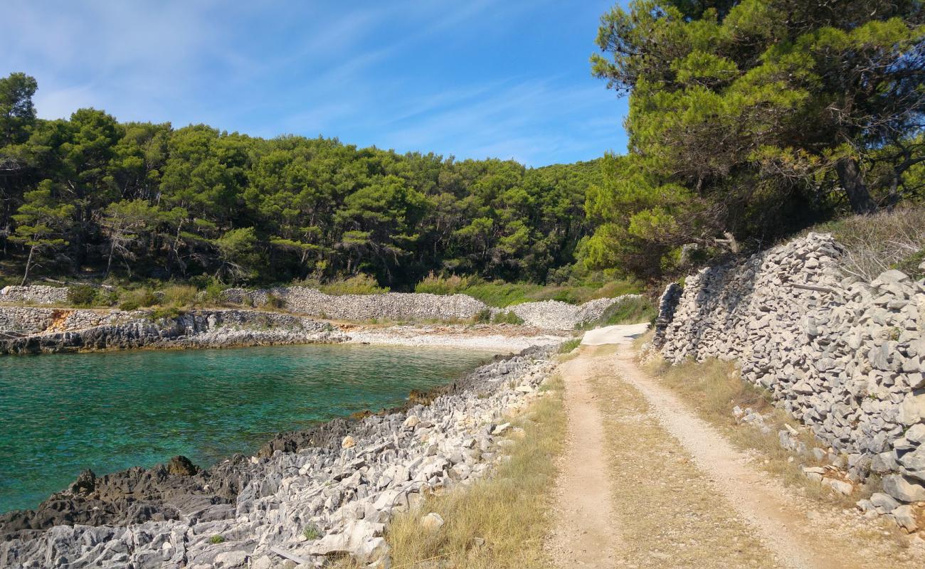 Puntica II beach'in fotoğrafı hafif çakıl yüzey ile