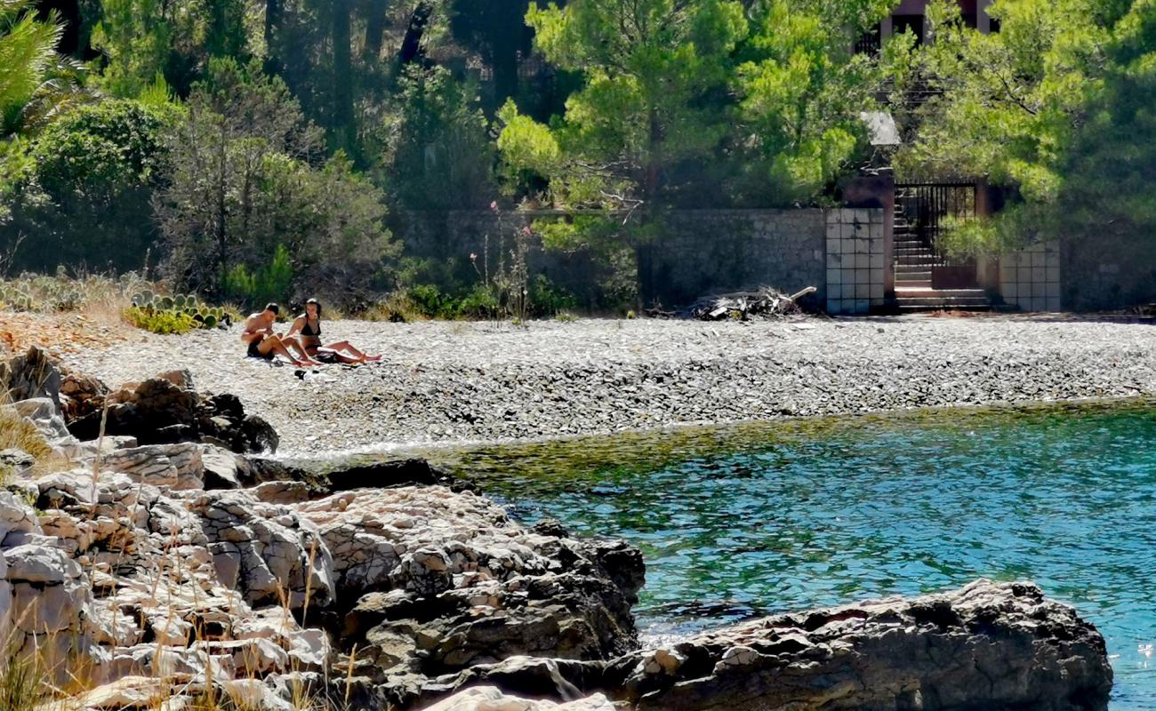 Hana beach'in fotoğrafı hafif çakıl yüzey ile