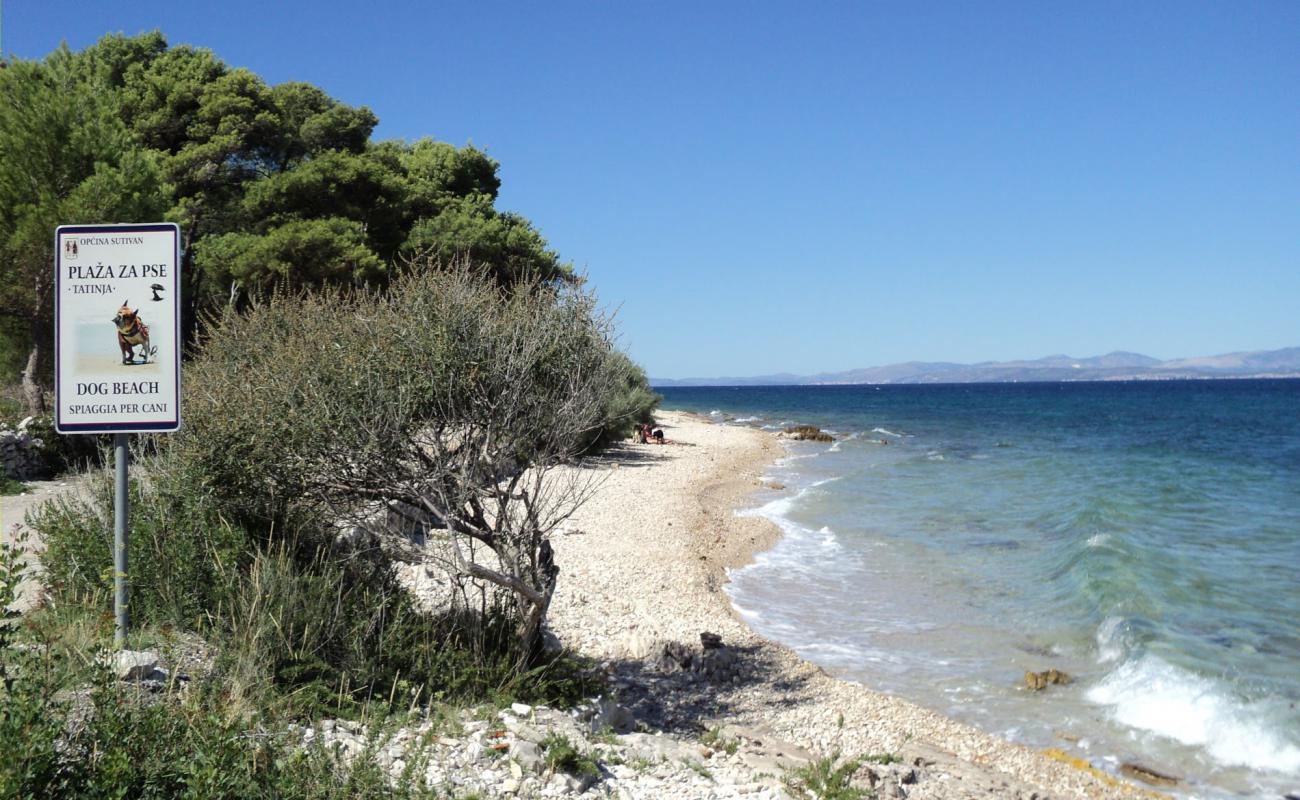 Tatinja beach'in fotoğrafı hafif çakıl yüzey ile