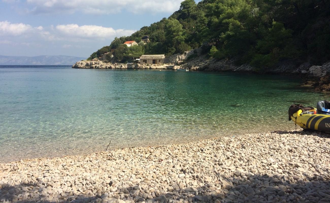 Zecja beach'in fotoğrafı hafif çakıl yüzey ile