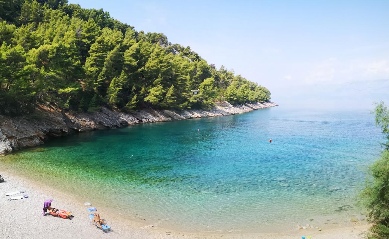 Mala Pogorila beach'in fotoğrafı hafif çakıl yüzey ile