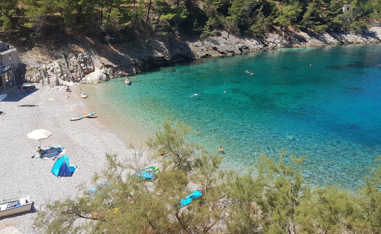 Mala Pogorila II beach'in fotoğrafı hafif çakıl yüzey ile