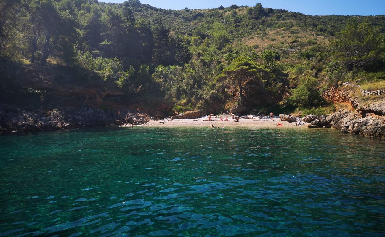 Didina beach II'in fotoğrafı hafif çakıl yüzey ile