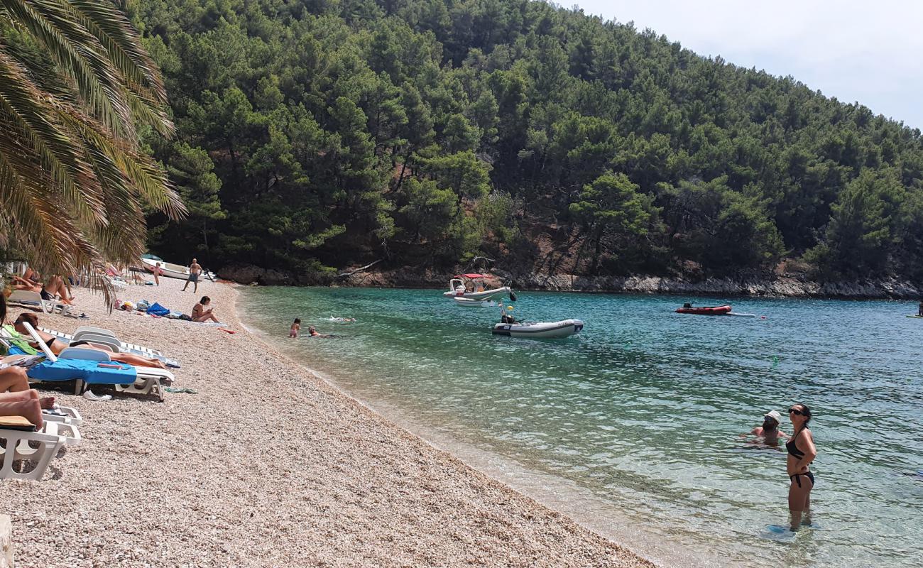 Smokvina beach'in fotoğrafı hafif çakıl yüzey ile