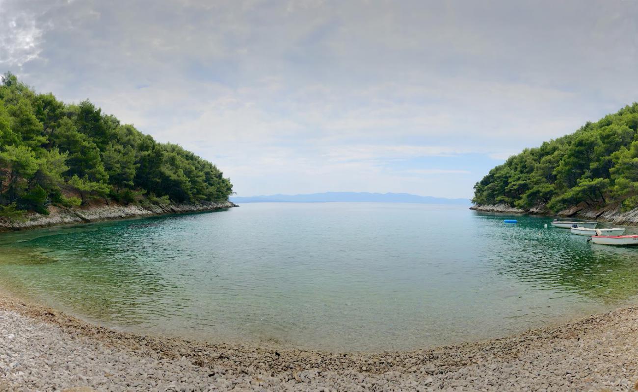 Velika Uvala beach'in fotoğrafı hafif çakıl yüzey ile