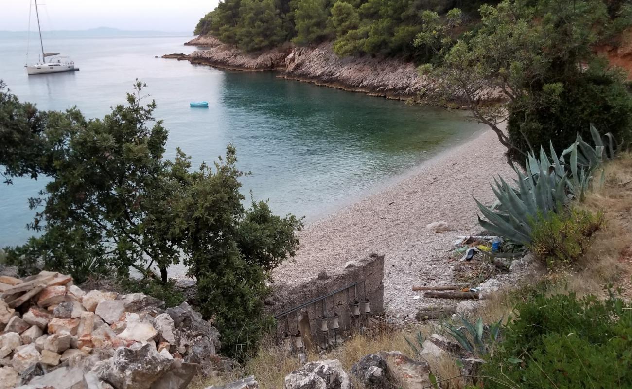 Medvidina Bay'in fotoğrafı hafif çakıl yüzey ile