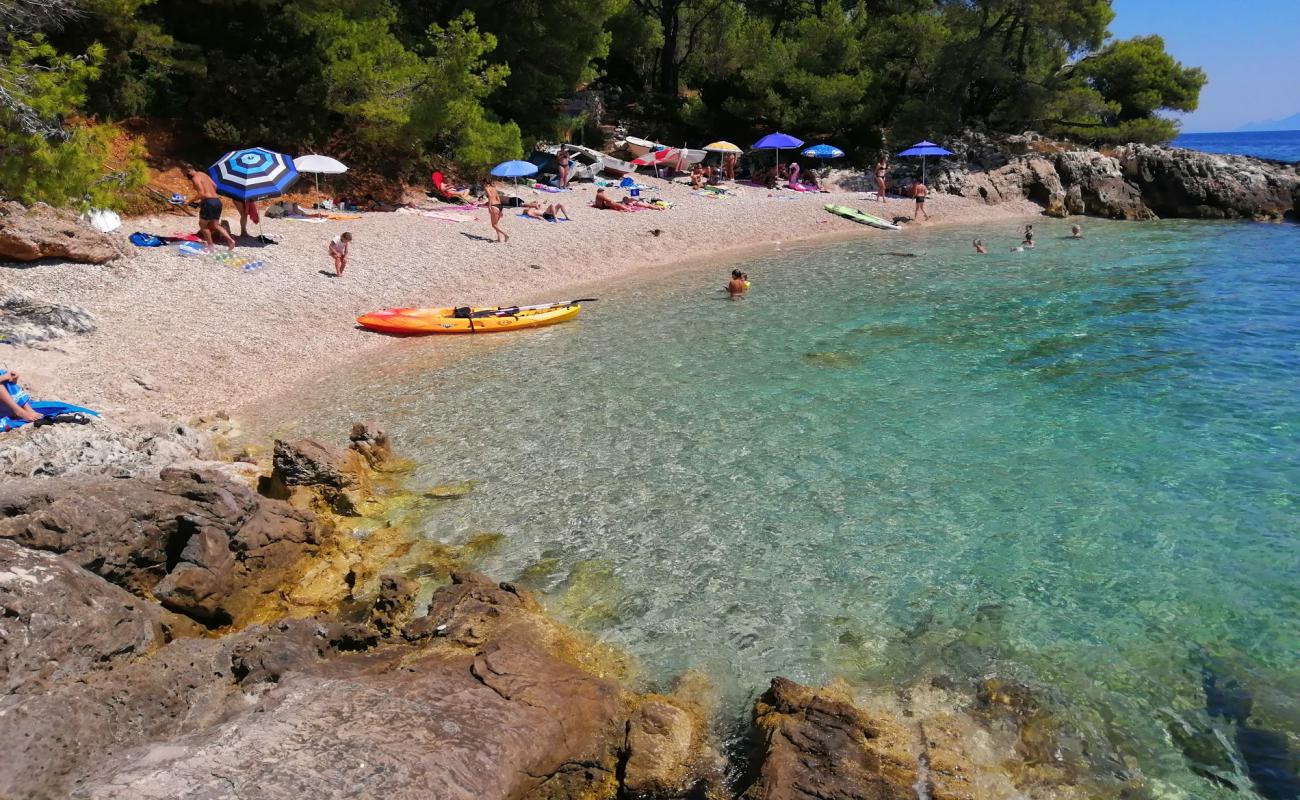 Bile beach'in fotoğrafı hafif ince çakıl taş yüzey ile