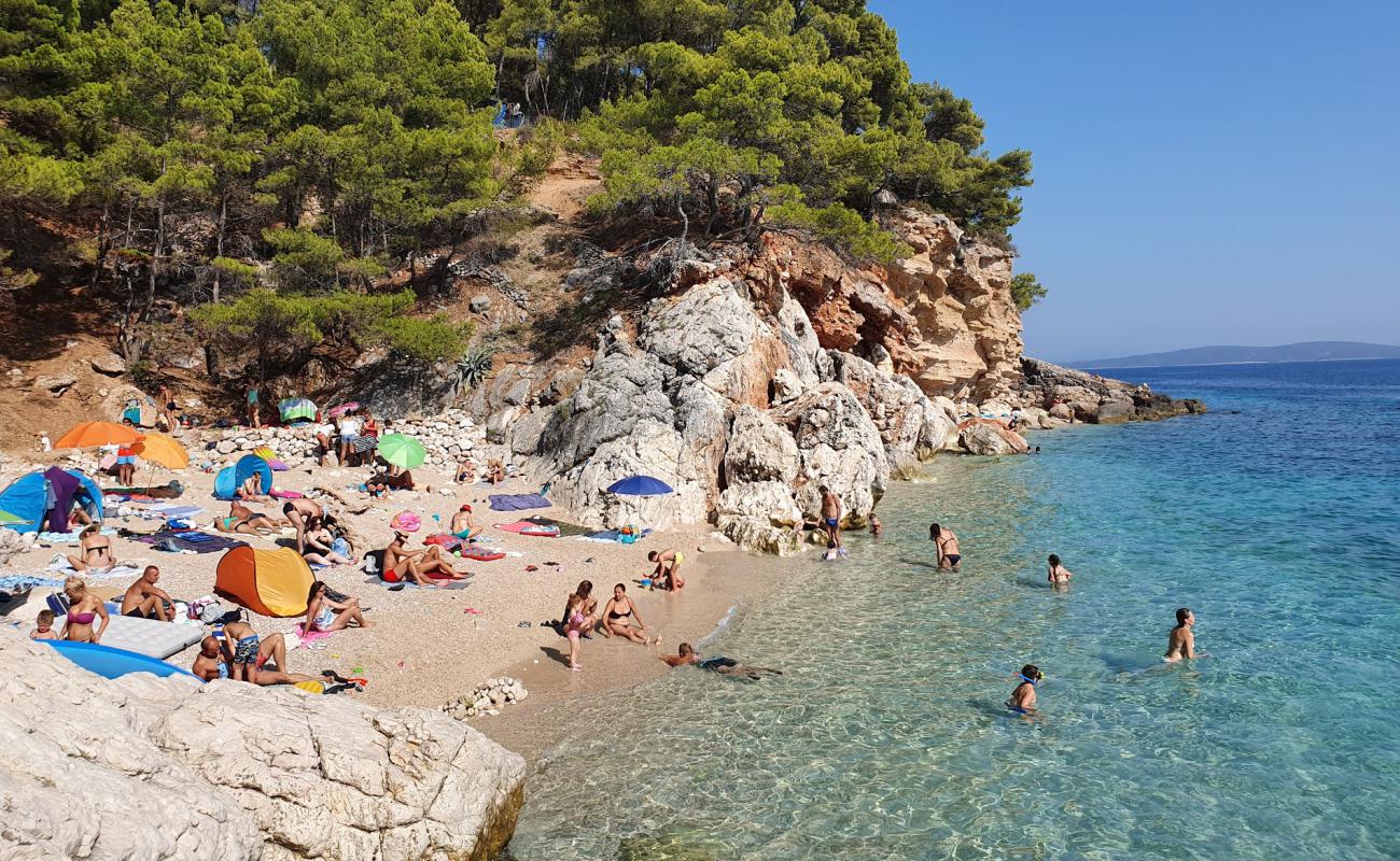 Jagodna beach'in fotoğrafı hafif ince çakıl taş yüzey ile