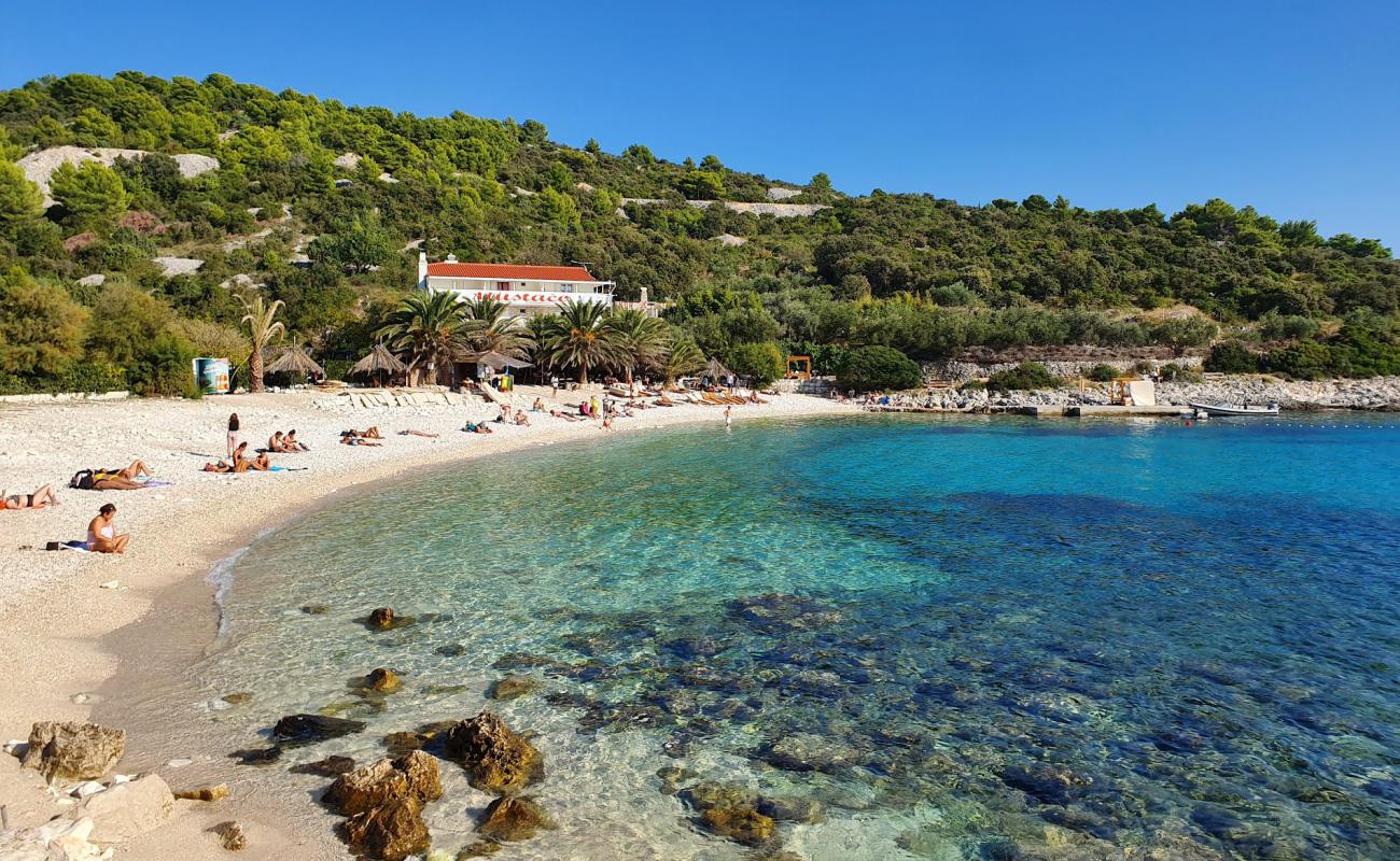 Pokonji dol Plajı'in fotoğrafı beyaz çakıl taş yüzey ile