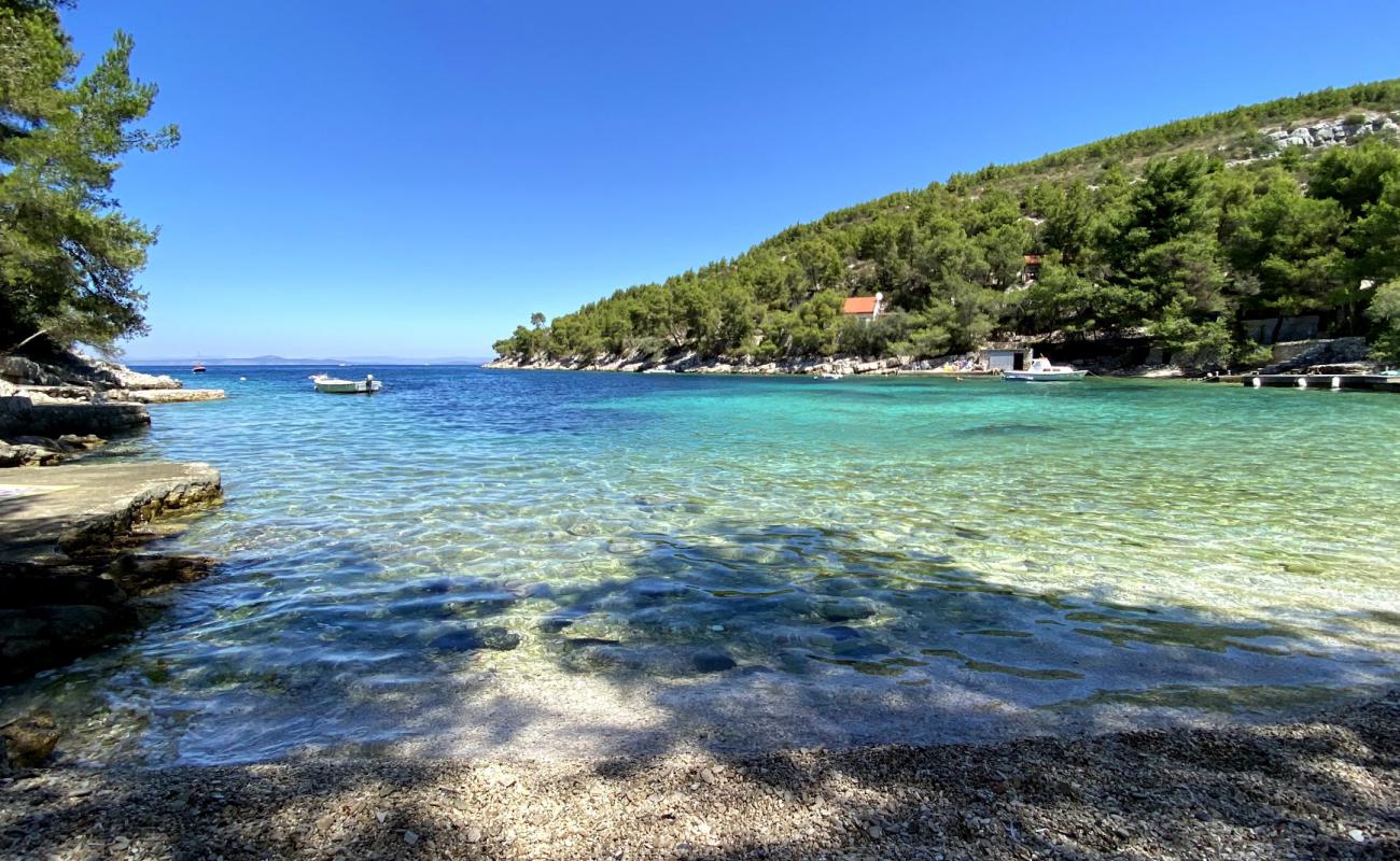 Zastupac II beach'in fotoğrafı hafif çakıl yüzey ile