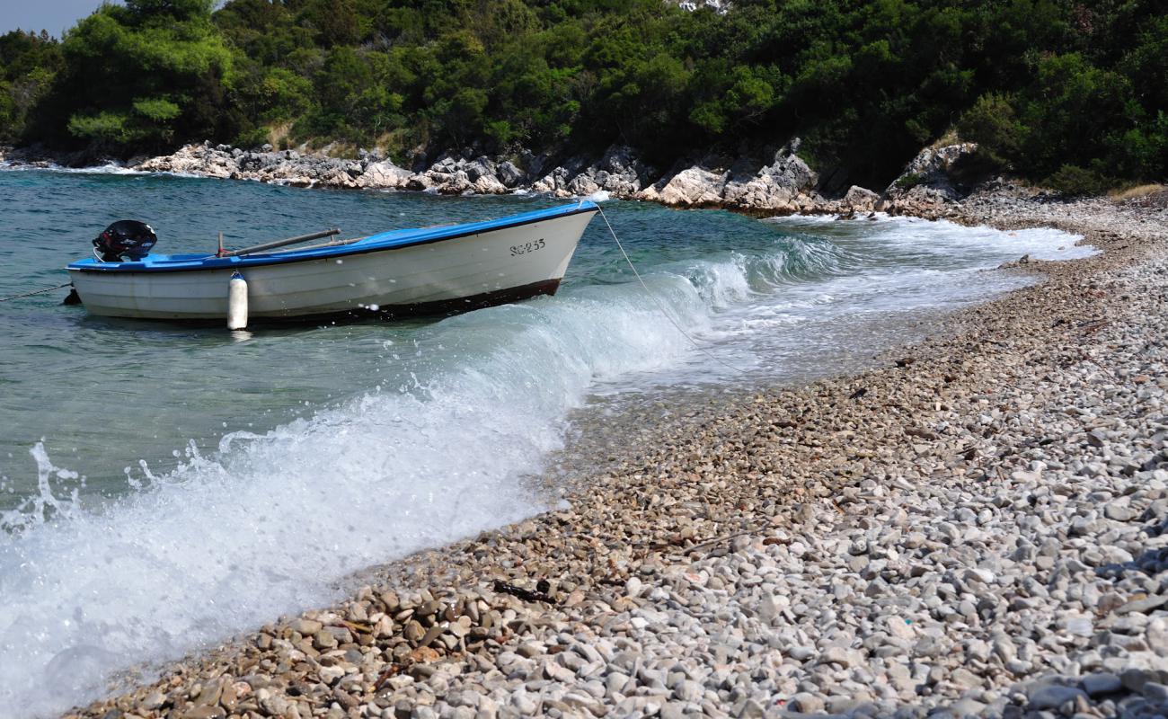 Radocin dol'in fotoğrafı beyaz çakıl taş yüzey ile