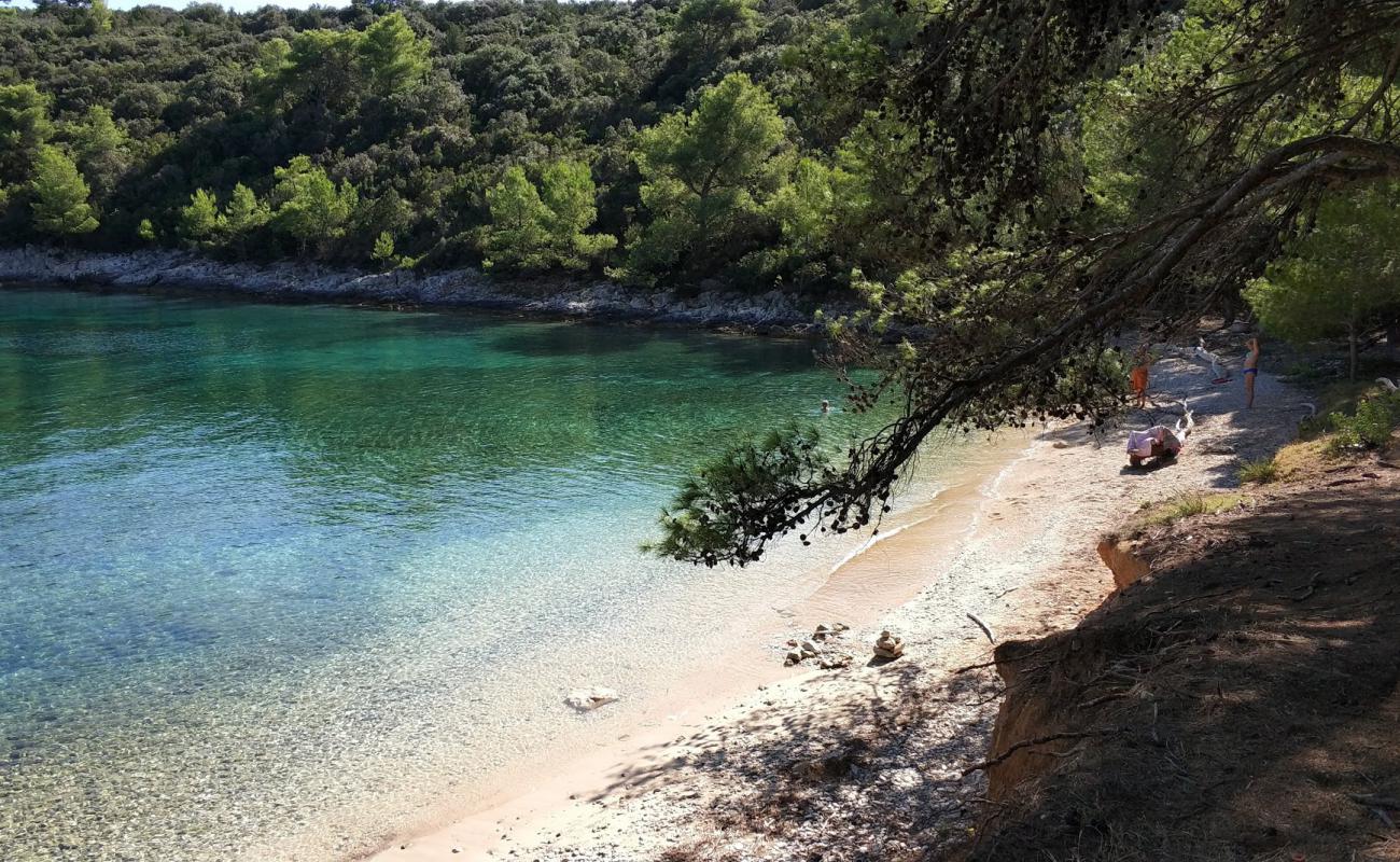 Plaz Porterusa'in fotoğrafı hafif çakıl yüzey ile