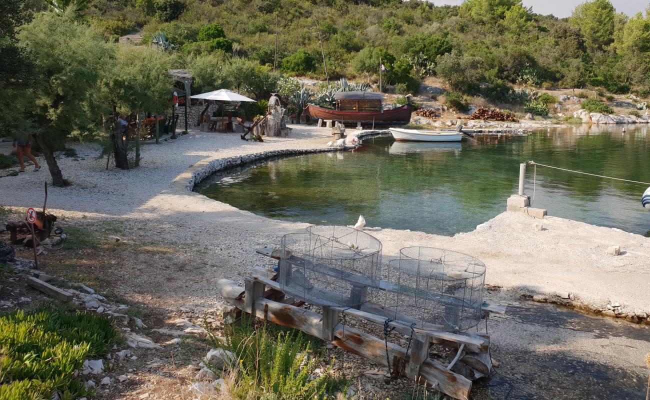 Rato's beach'in fotoğrafı beton kapak yüzey ile