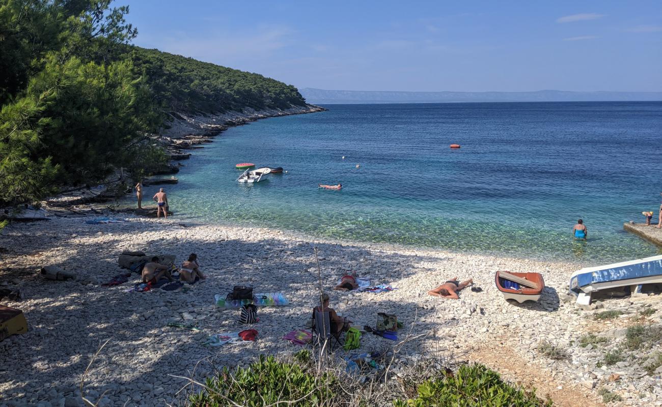 Meduza beach'in fotoğrafı beyaz çakıl taş yüzey ile