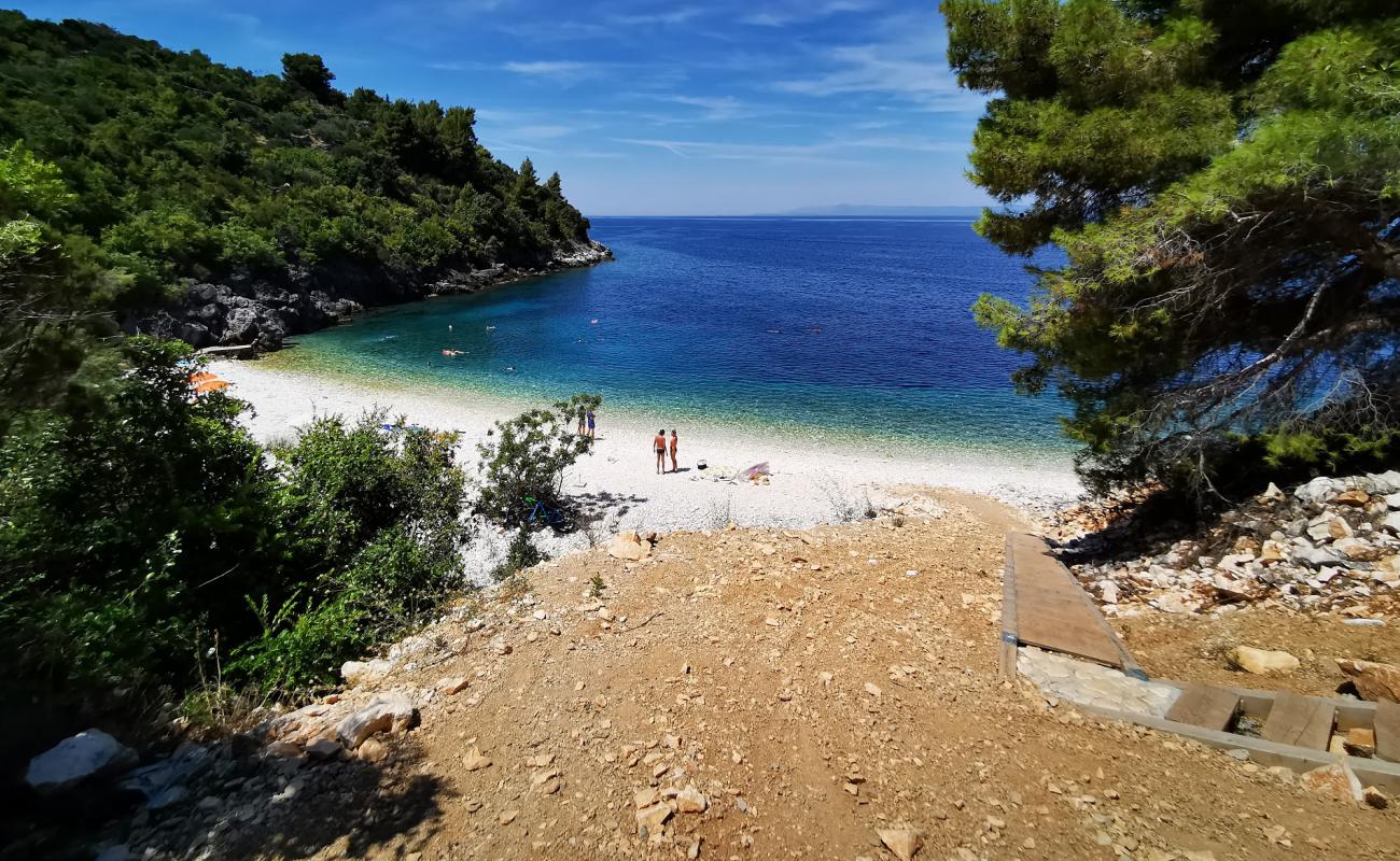 Vaja Bay'in fotoğrafı beyaz çakıl taş yüzey ile