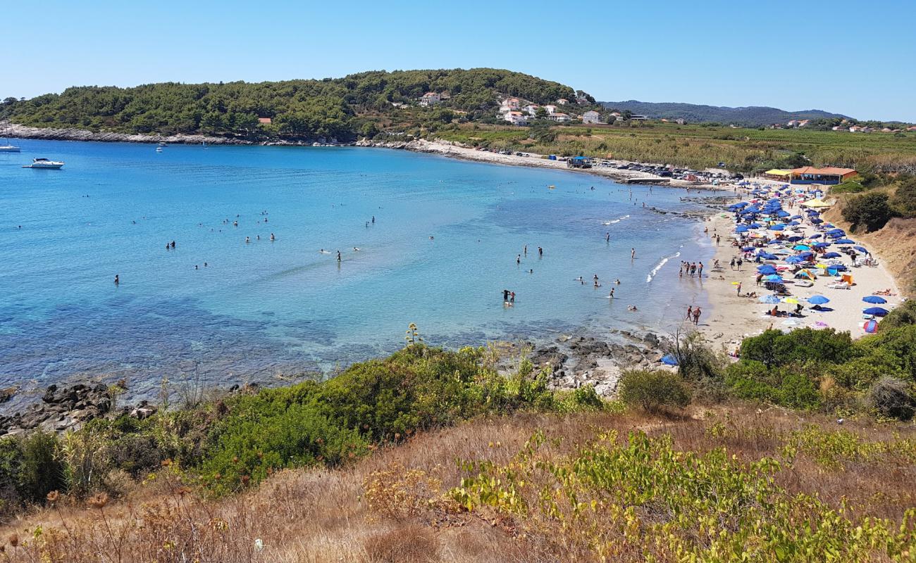 Vela Przina beach'in fotoğrafı parlak kum yüzey ile