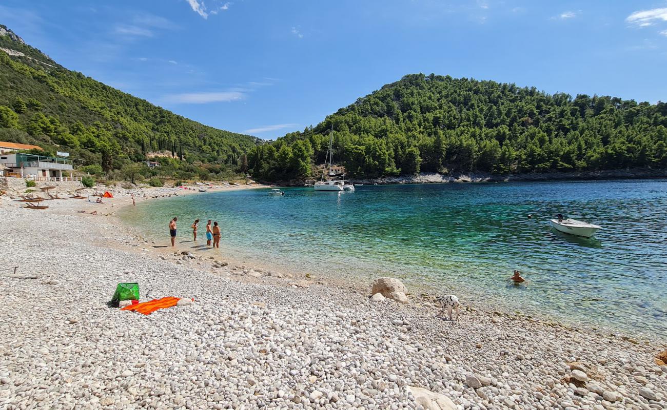 Pupnatska Luka'in fotoğrafı hafif ince çakıl taş yüzey ile