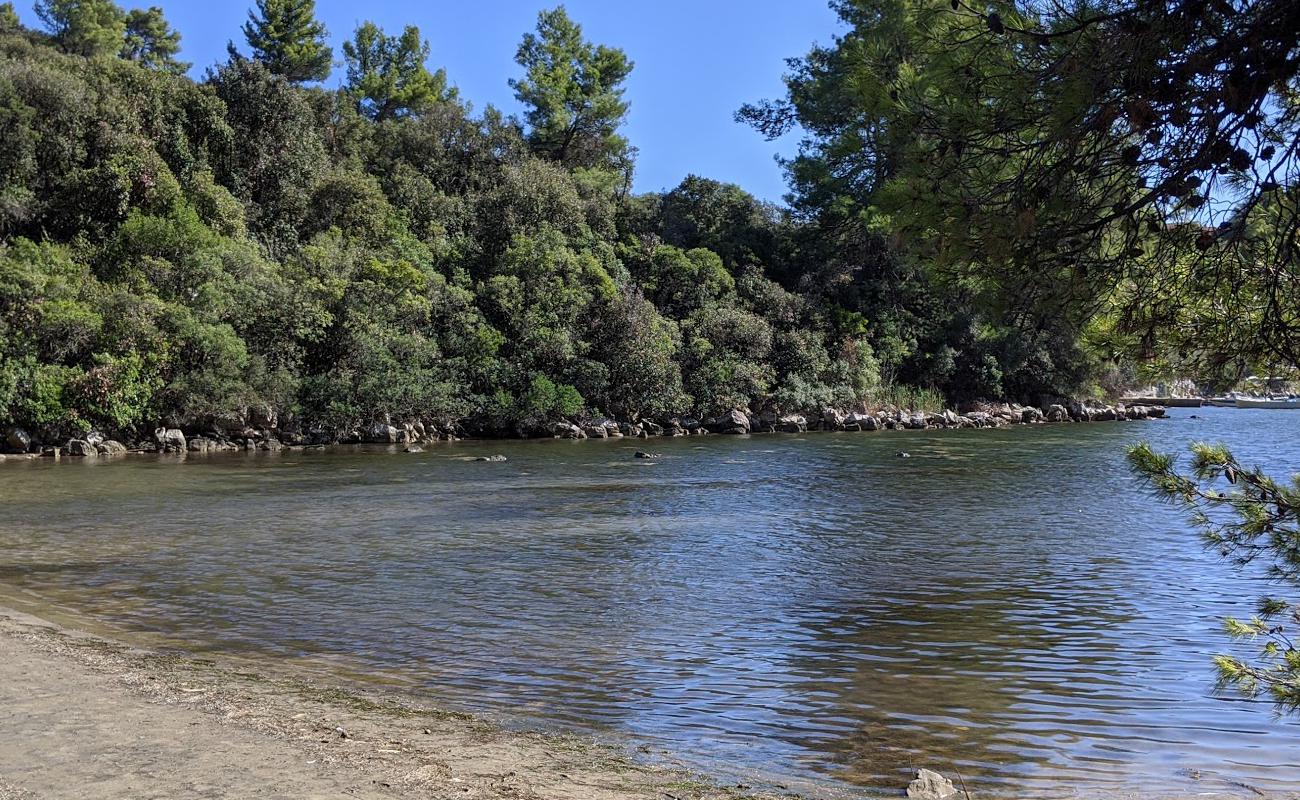 Istruga beach'in fotoğrafı kahverengi kum yüzey ile