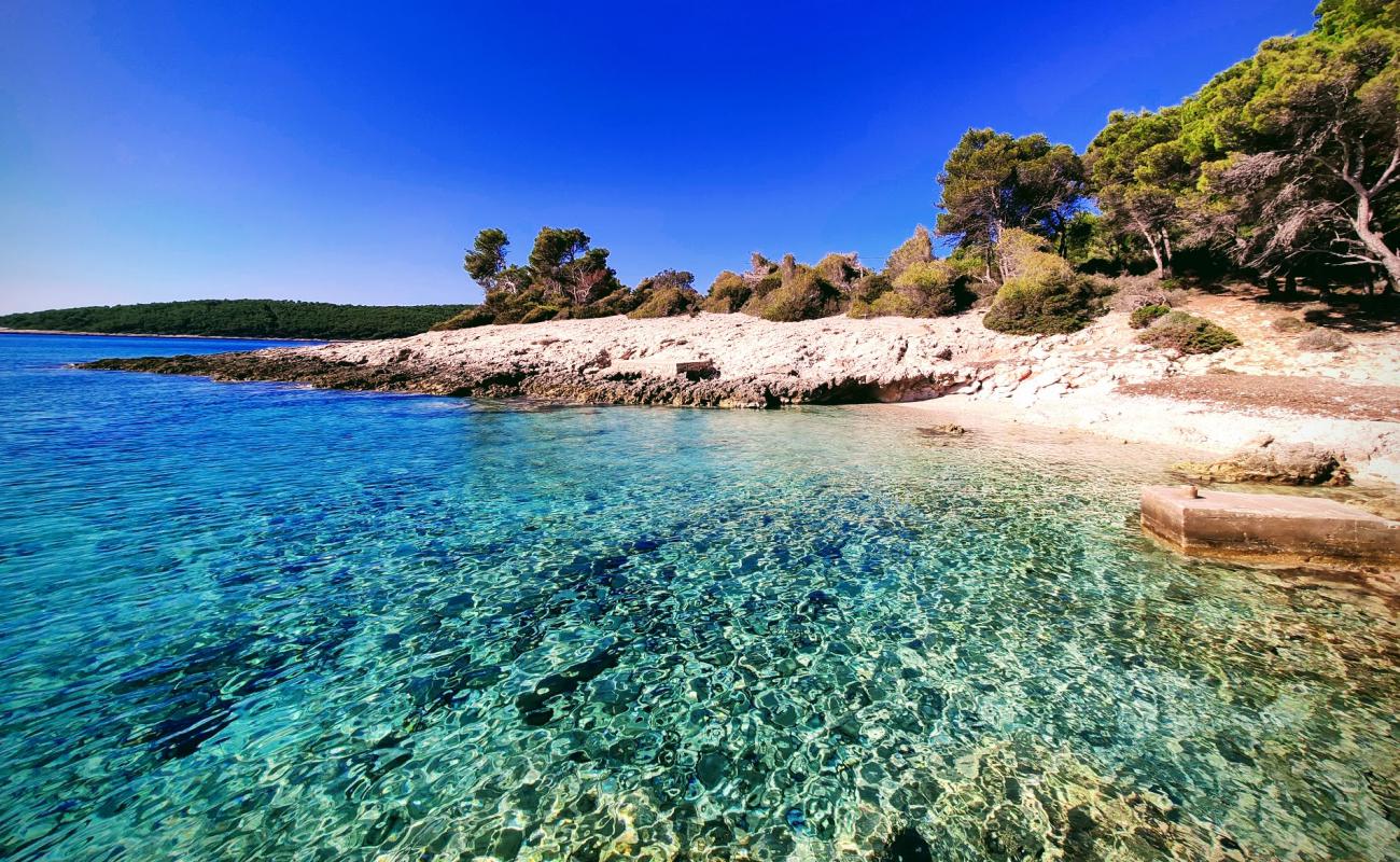 Nova beach'in fotoğrafı hafif çakıl yüzey ile