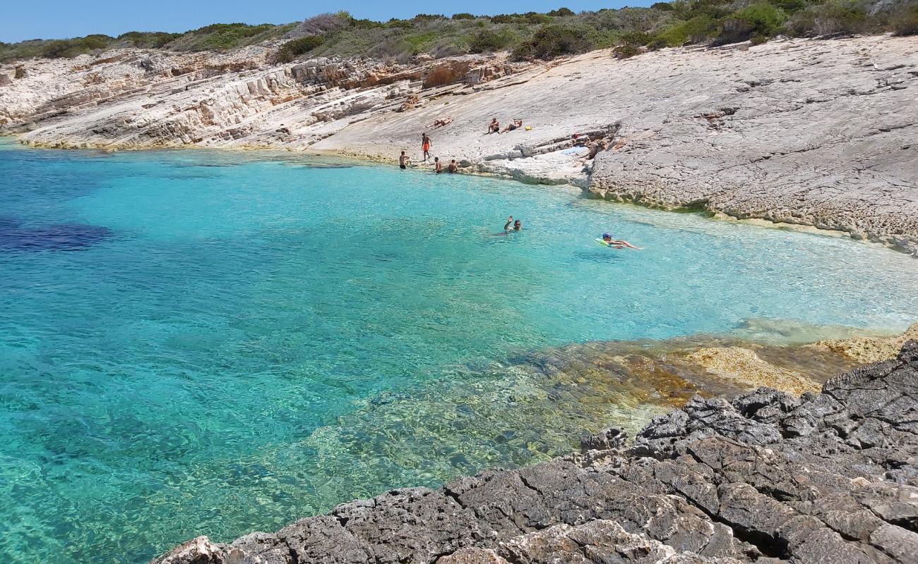 Srednji bili bok'in fotoğrafı rocky shore yüzey ile