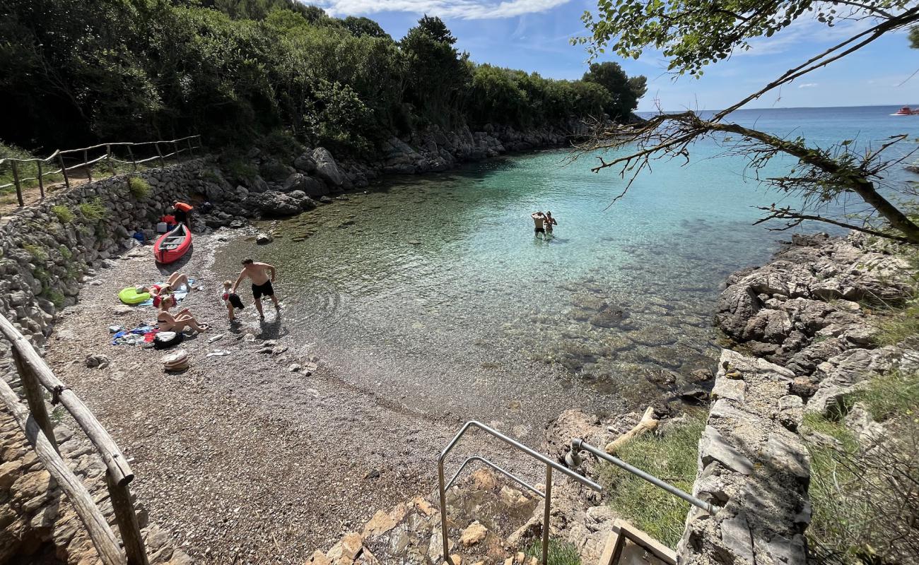 Plaza Redagara for Dogs'in fotoğrafı gri çakıl taşı yüzey ile