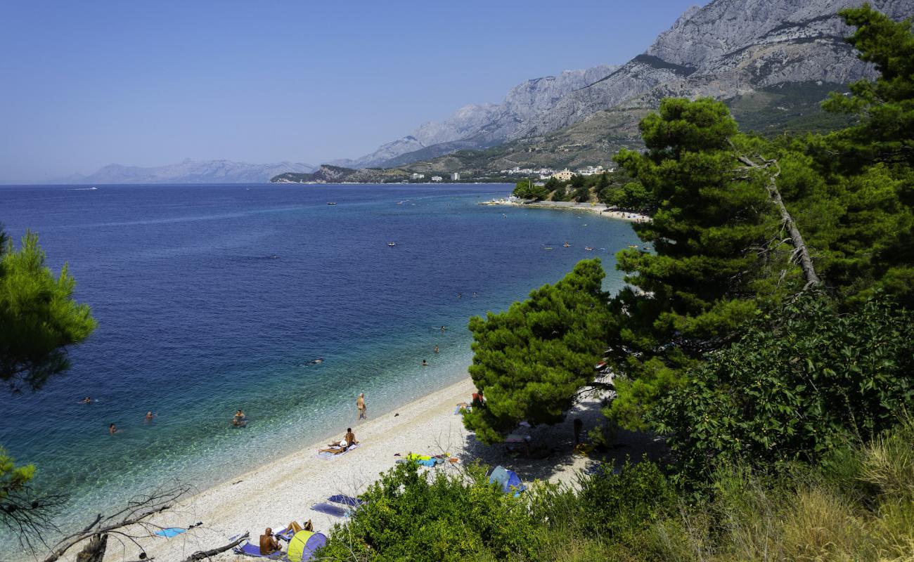 Dracevac Beach'in fotoğrafı hafif çakıl yüzey ile