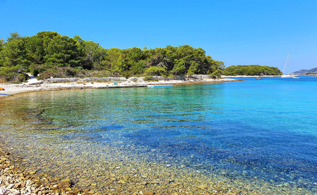 Mlini Beach'in fotoğrafı taşlar yüzey ile