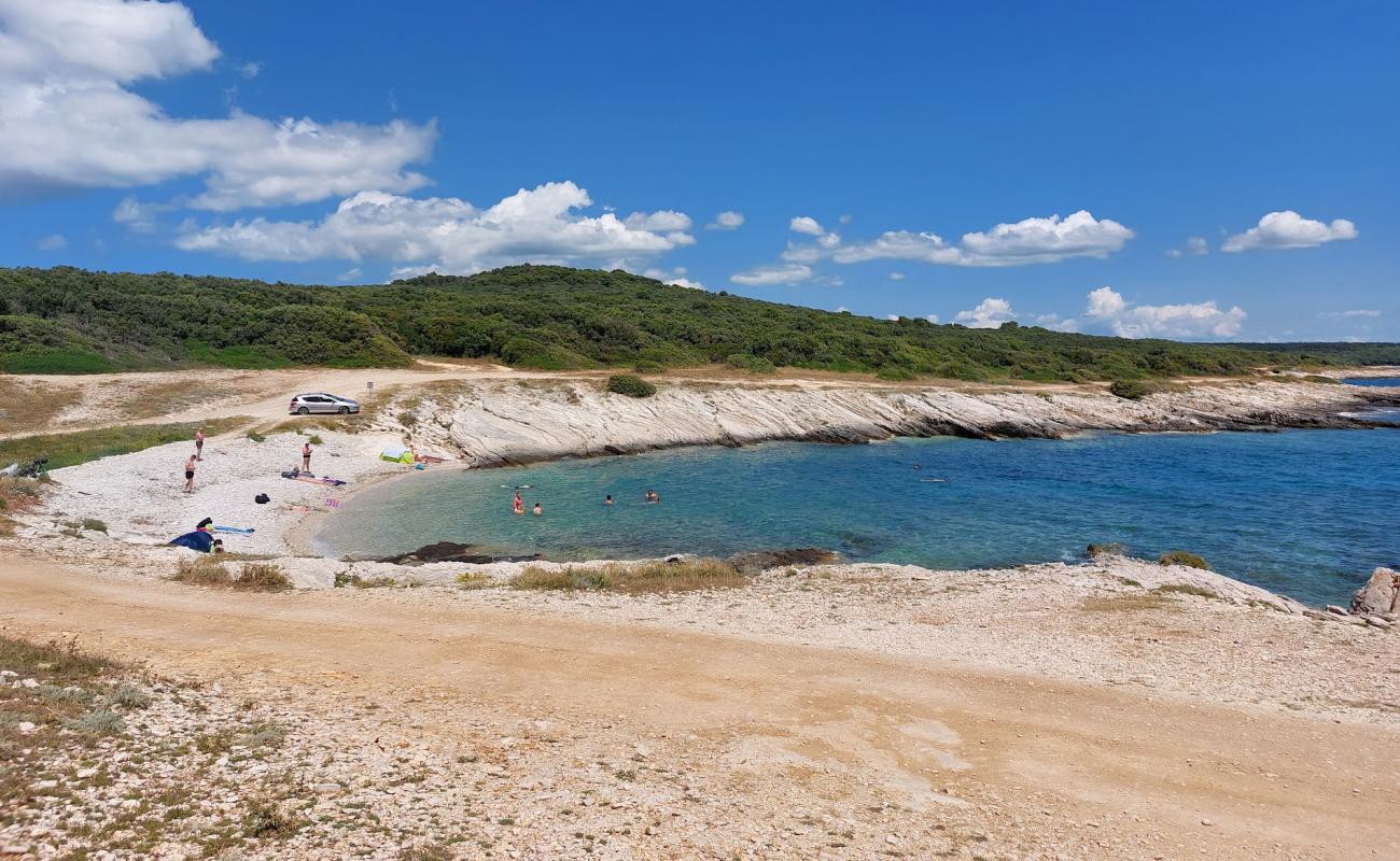 Uvala Mala Draga'in fotoğrafı bej çakıl yüzey ile