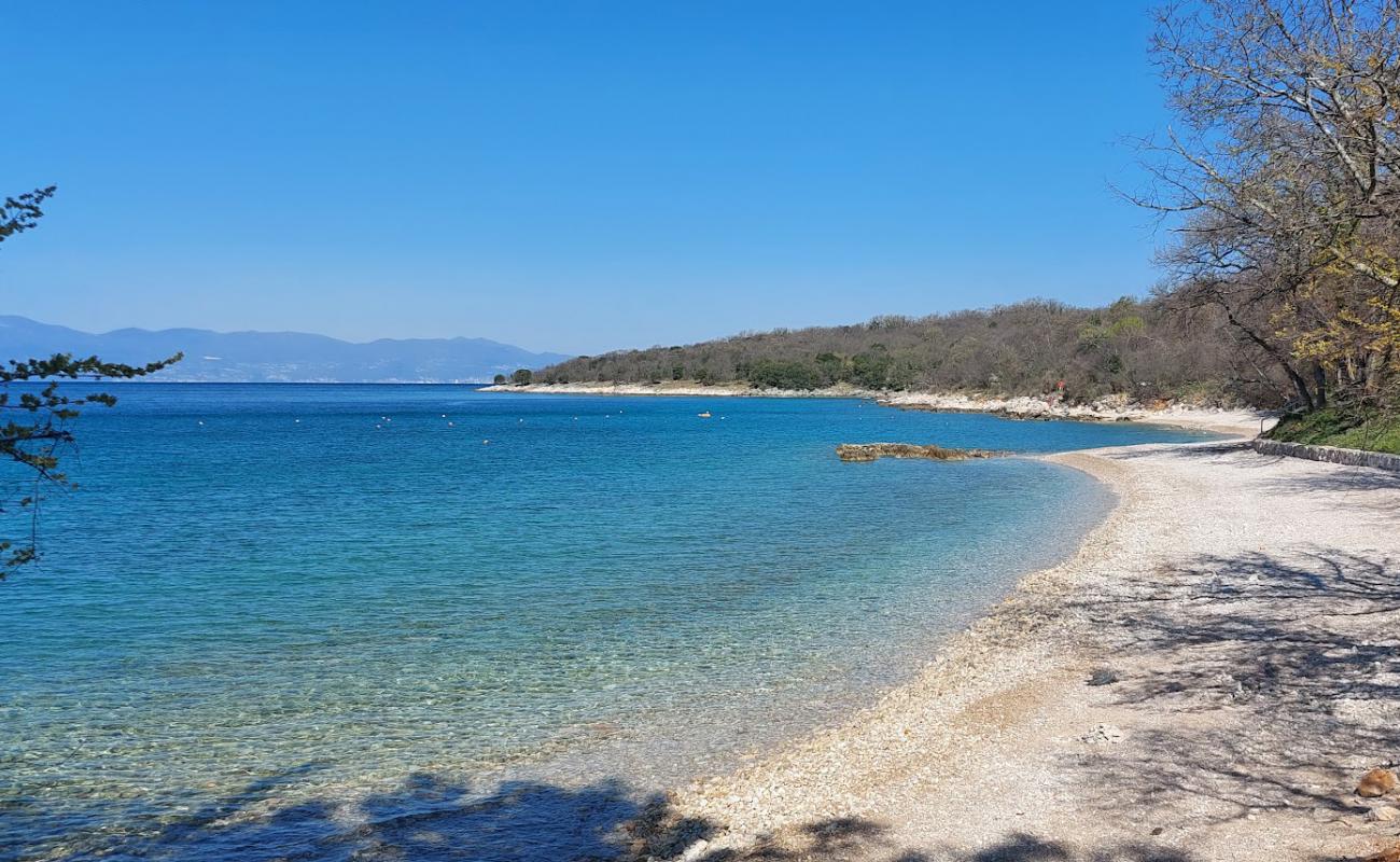 Dog Beach Atea Camping'in fotoğrafı gri çakıl taşı yüzey ile