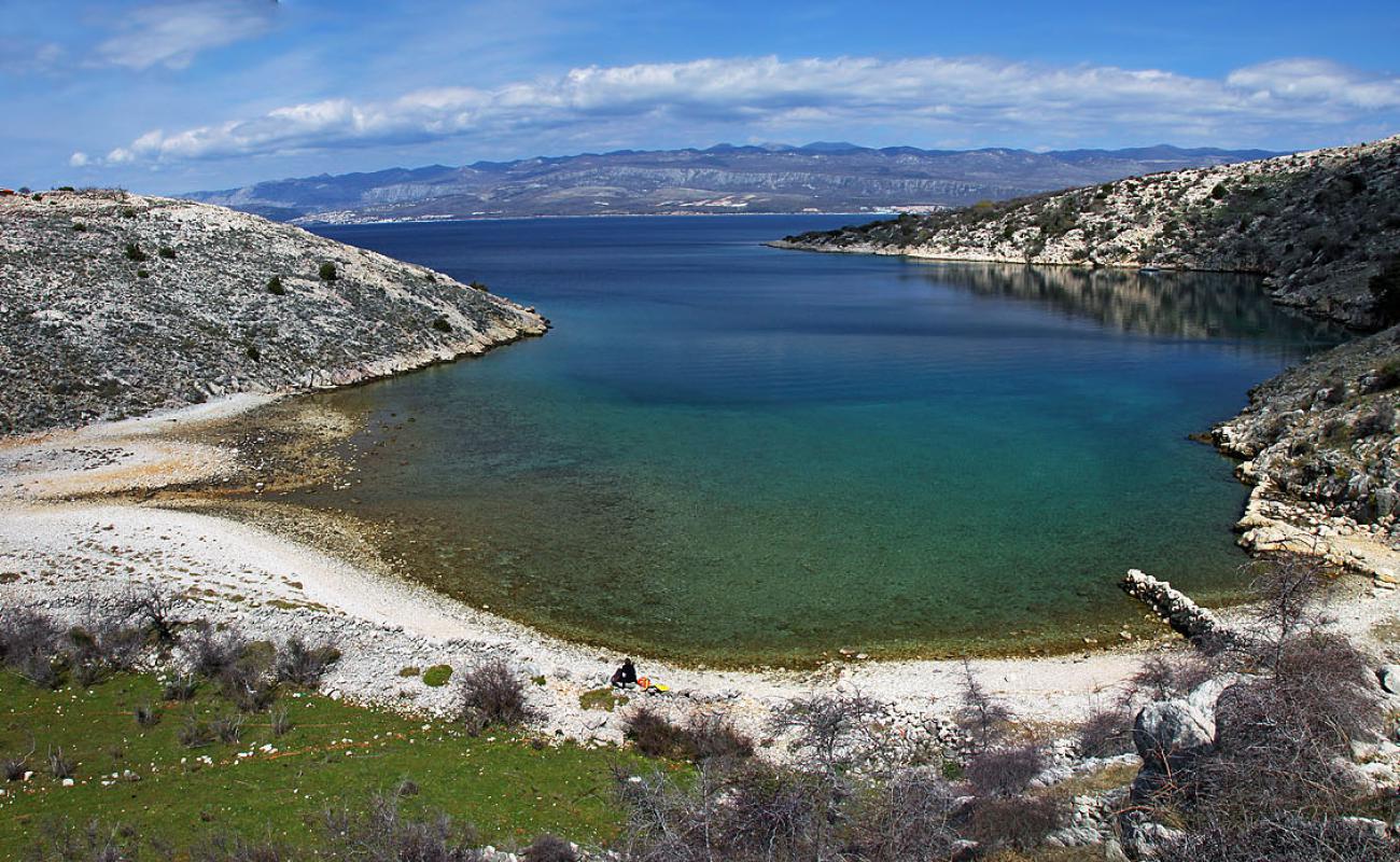 Uvala Srscica Beach'in fotoğrafı taşlar yüzey ile