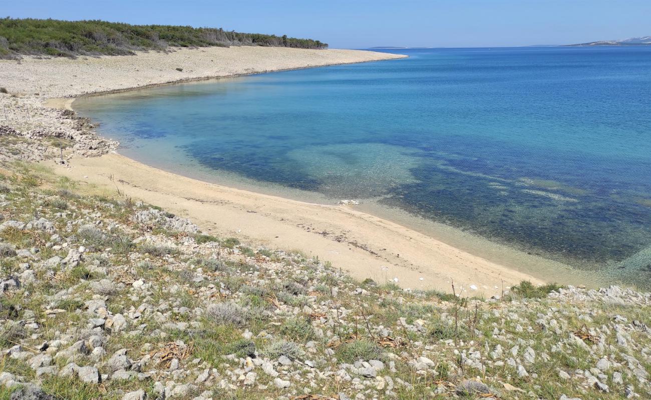 Povljana Naturist Beach'in fotoğrafı parlak kum yüzey ile